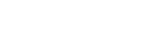 DataMon logo